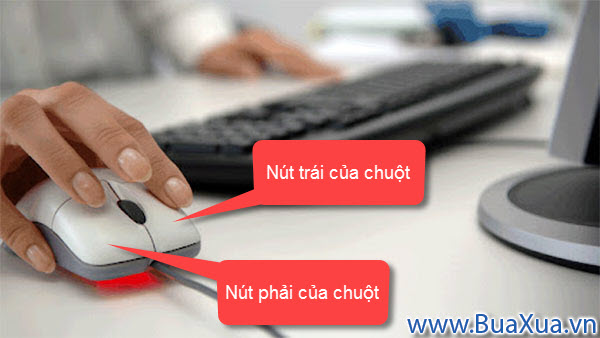 Tương tác với máy vi tính chủ yếu bằng bàn phím và chuột