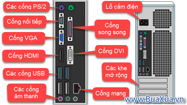 Các cổng ở mặt sau của thùng máy vi tính