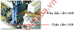 Các chân cắm USB nằm trên bo mạch chủ
