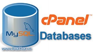 Cách tạo Database trong cPanel trên Shared Hosting