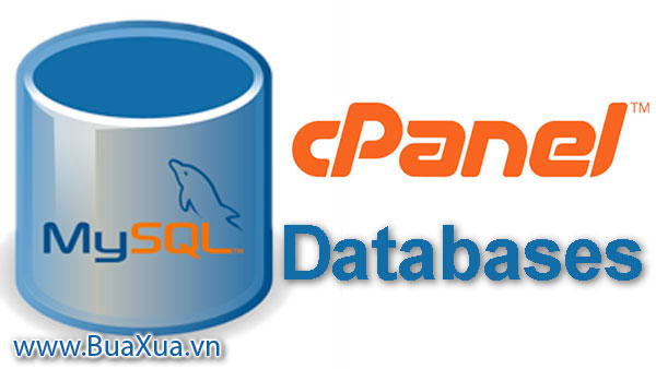 Cách tạo DataBase trong cPanel trên Shared Hosting
