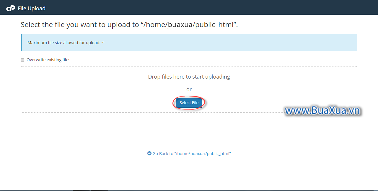 Nhấn vào nút Select File trong cửa sổ File Upload