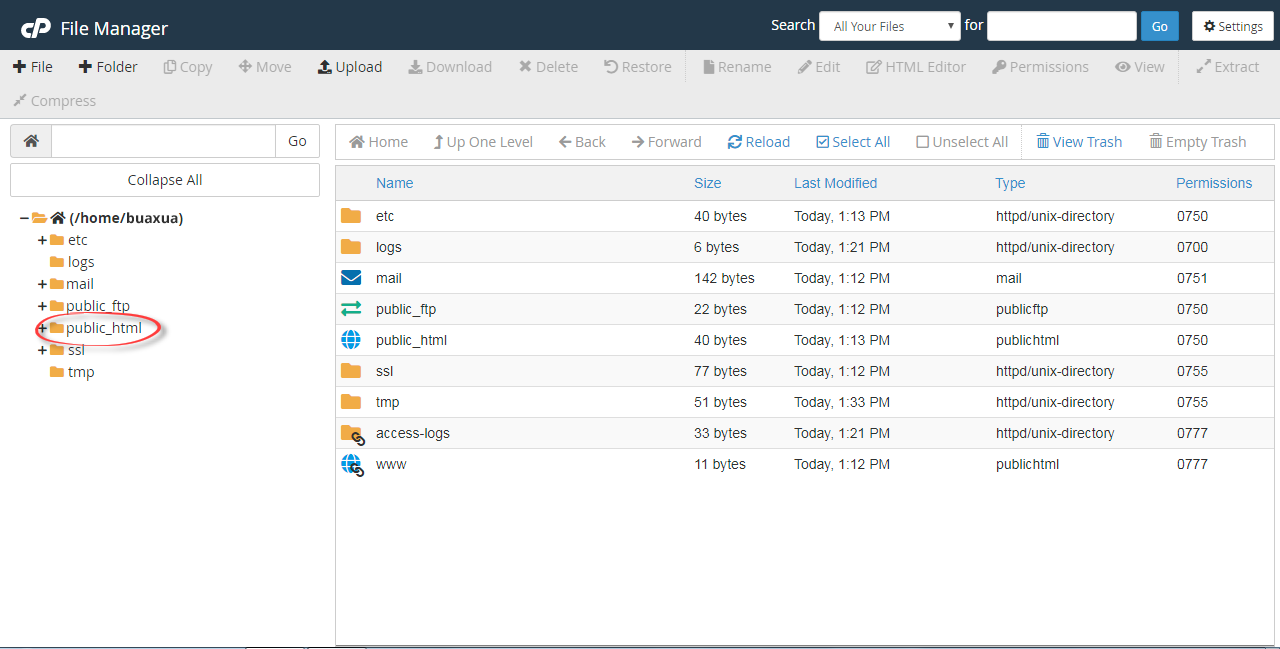 chọn thư mục có tên là public_html trong File Manager