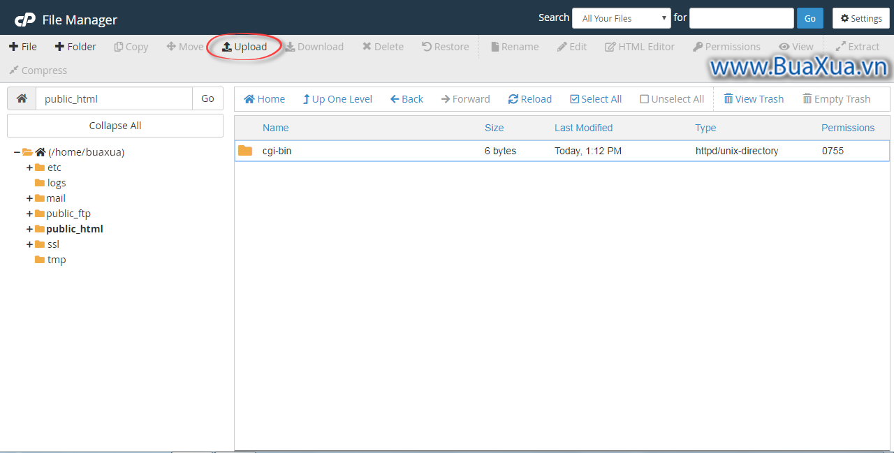 Nhấn vào nút Upload trong thư mục public_html