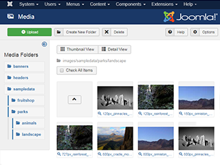 Cách quản lý và sử dụng hình ảnh trong Joomla!