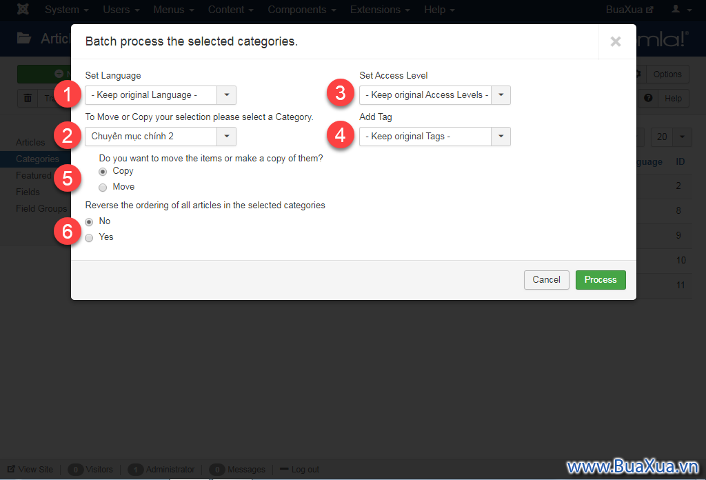 Màn hình Batch process the selected categories 