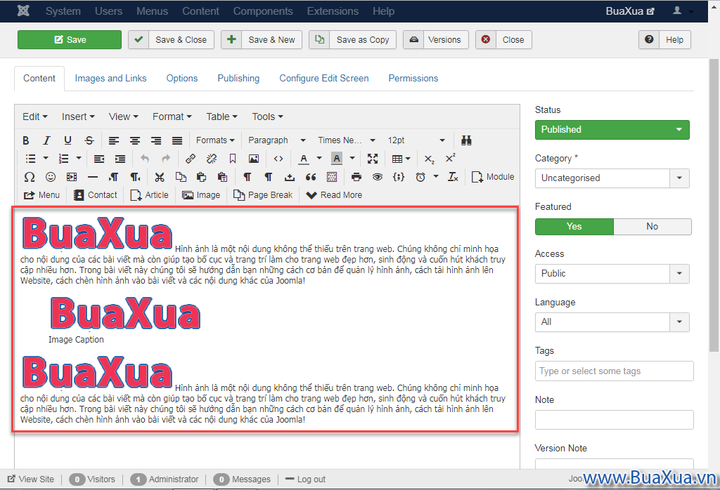 Hình ảnh sau khi được chèn vào bài viết của Joomla!