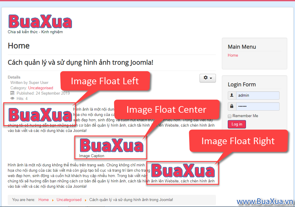 Hình ảnh khi được hiển thị trên trang web