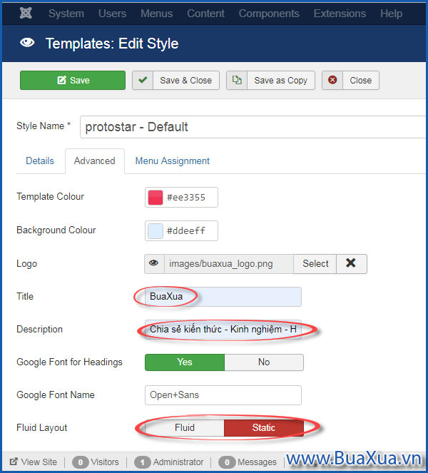 Các thông số của Template Protostar