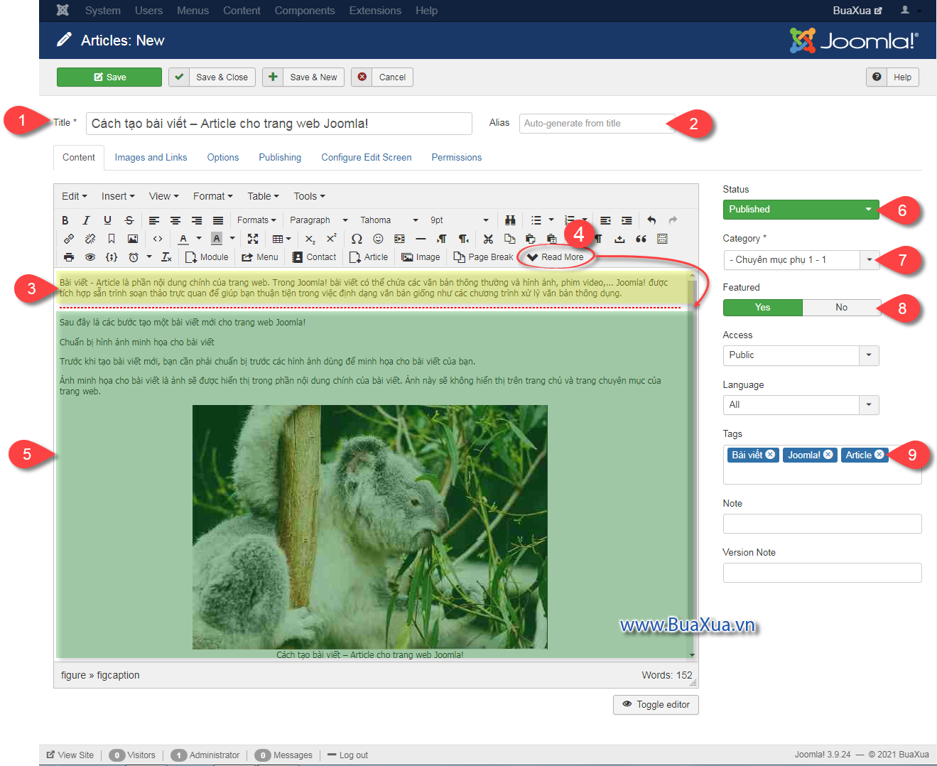 Phần Content để tạo nội dung cho bài viết mới