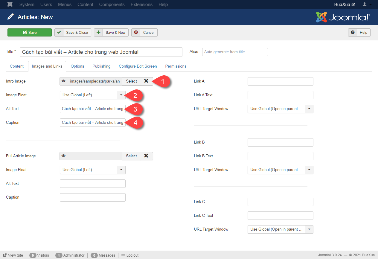 Phần Images and Links để tạo ảnh giới thiệu - Intro Image cho bài viết