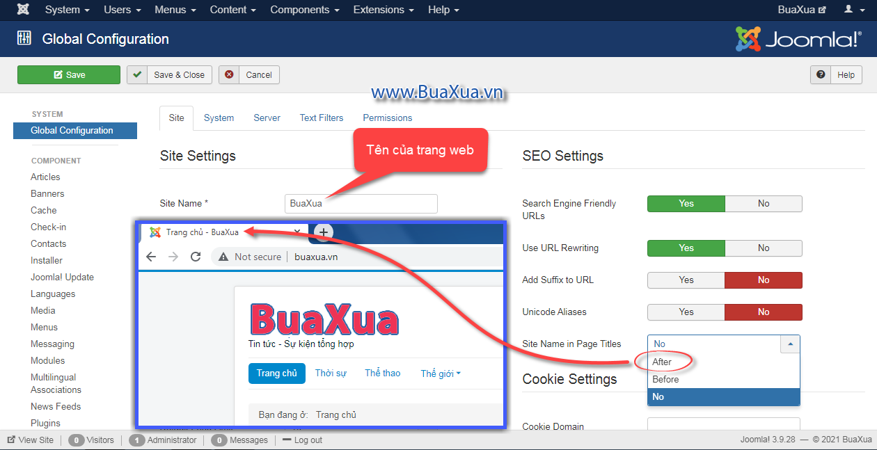 Site Name in Page Titles - Tùy chọn cho phép hiển thị tên của trang web