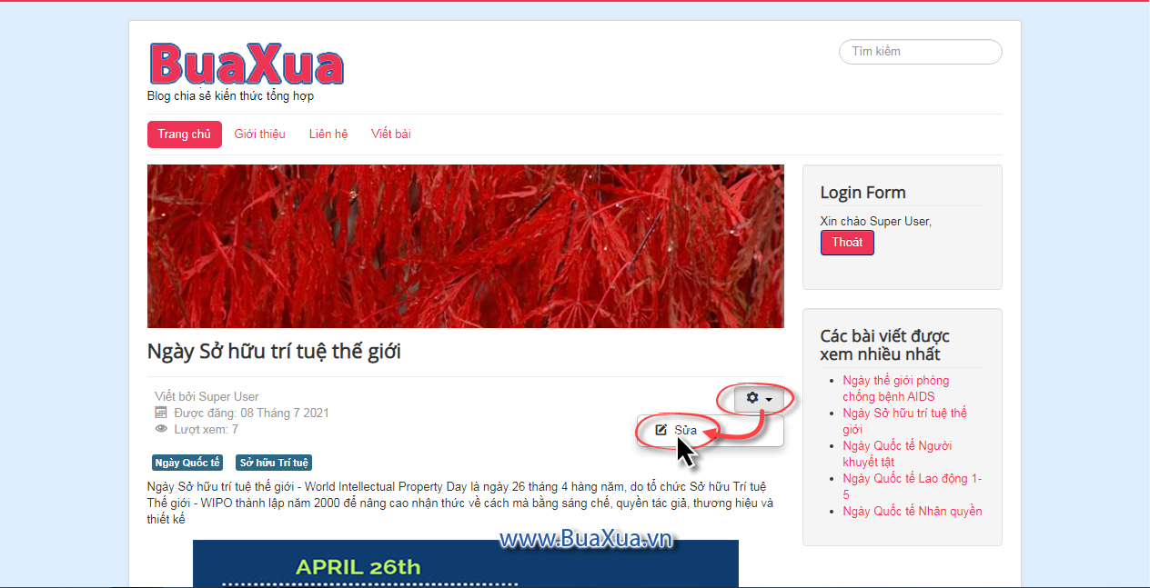 Chỉnh sửa bài viết trên Web