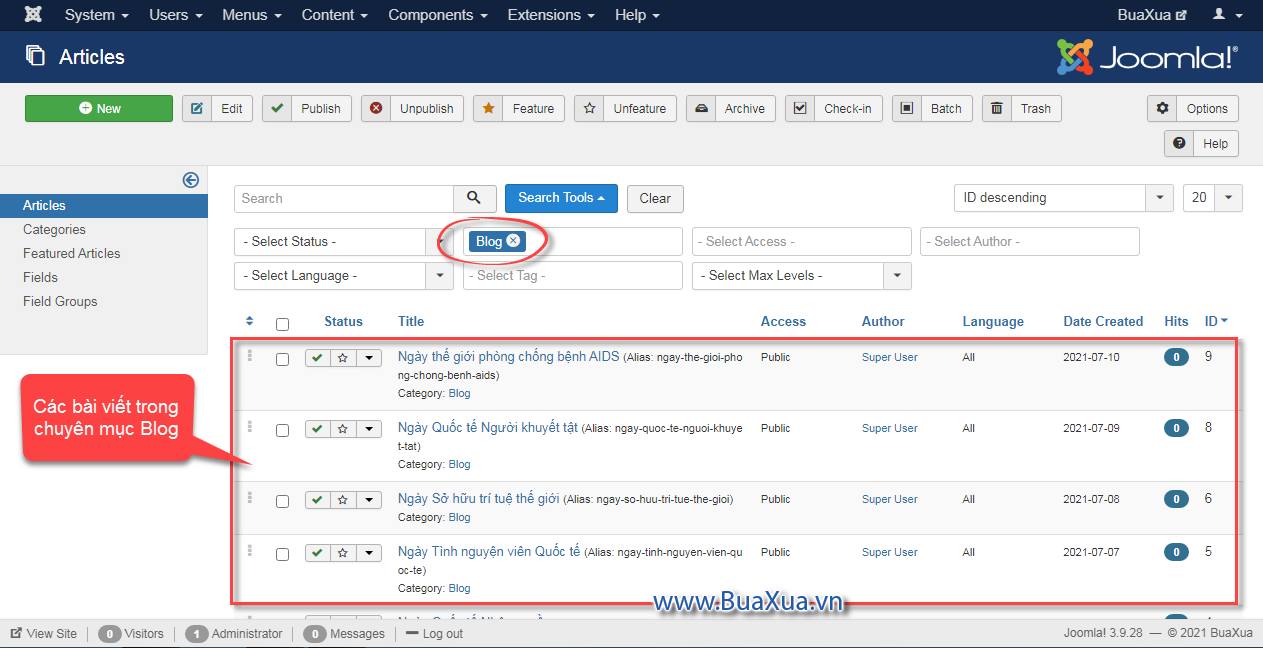 Tạo các bài viết cho trang web