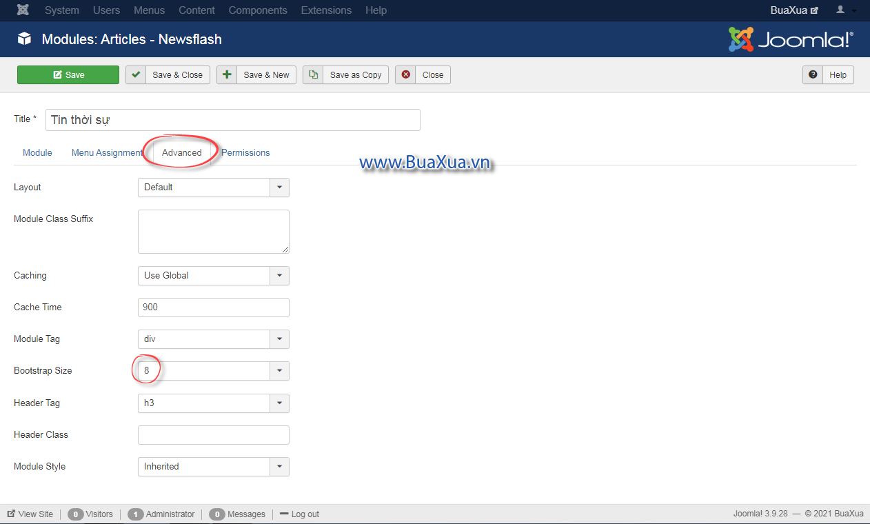 Chọn Bootstrap Size trong phần Advanced