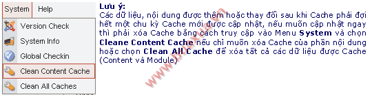 cleane_cache.png