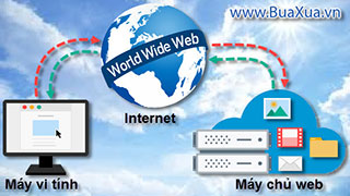Máy chủ web và và lưu trữ web là gì