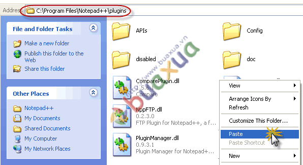 notepad_plugin_paste