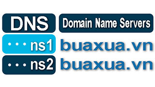 Cách đăng ký DNS riêng cho tên miền của bạn