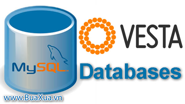 Cách tạo DataBase trong VestaCP trên máy chủ ảo riêng - VPS