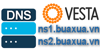 Cách tạo máy chủ tên miền riêng DNS trong VestaCP