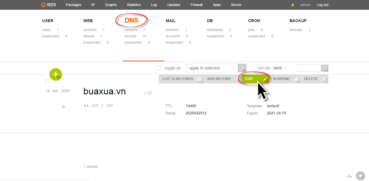 Nhấn vào nút Edit để chỉnh sửa DNS