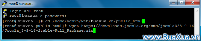 Cách cài đặt VestaCP cho máy chủ web ảo VPS