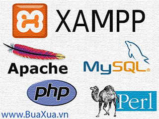 Cách cài chương trình Server XAMPP