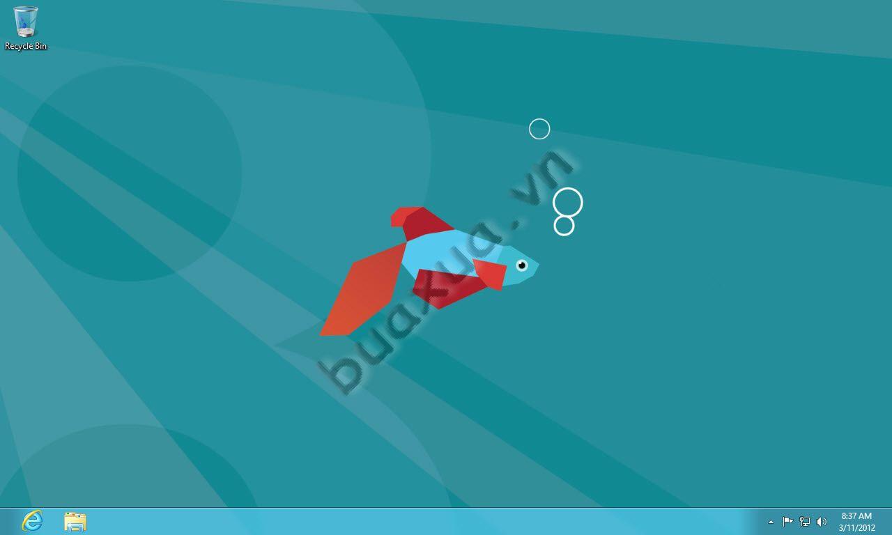 Màn hình Desktop của Windows 8