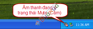 Âm thanh đang ở trạng thái câm (Mute)