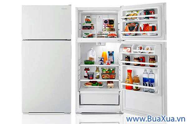 Tủ lạnh kiểu Top Freezer - Ngăn đá trên