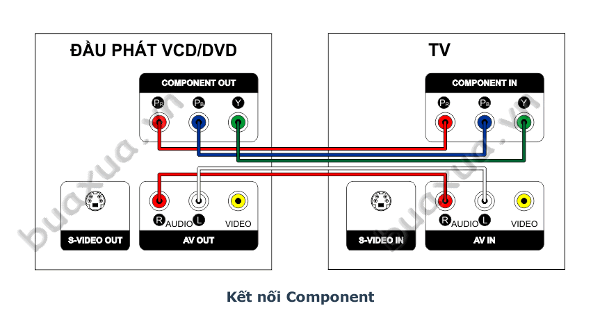 Kết nối qua cổng component