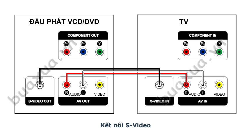 Kết nối qua cổng S-Video