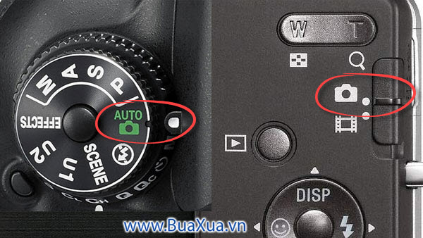 Chế độ chụp ảnh hoặc chụp tự động của máy ảnh số