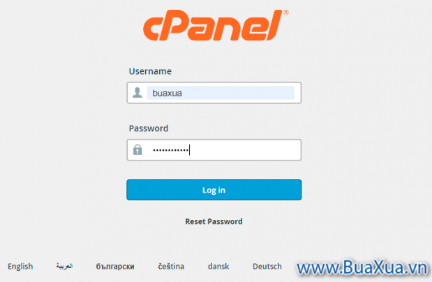 Đăng nhập vào tài khoản quản lý Shared Hosting cPanel của bạn
