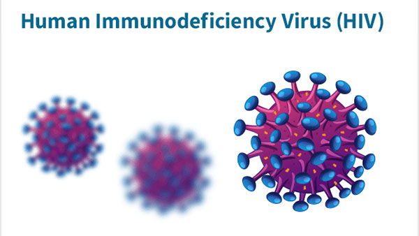 HIV/AIDS trở thành một trong các dịch bệnh phá hoại nhất trong lịch sử
