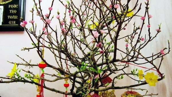 Phong tục chưng hoa ngày tết của người Việt Nam - BuaXua.vn