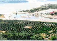 dam_nha_phu.jpg