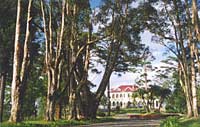 dinh_1.jpg