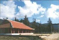 nt_hang_duong.jpg